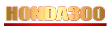 Logo Honda300